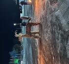 Отзыв
